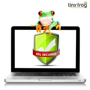Frog sitting on laptop, laptop screen displays badge with text "SSL Secured"