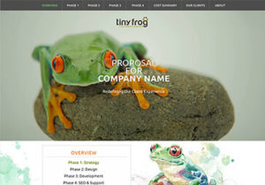 Tiny Frog proposal sample, shows webpage with links to 4 phases in project