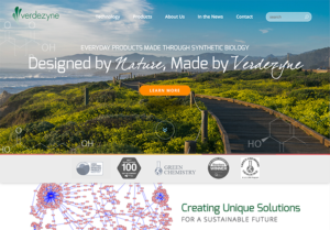 Verdenzyne website homepage, features path winding though meadow overlooking ocean