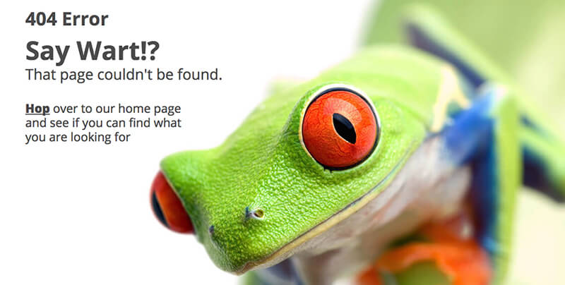 TinyFrog 404 Page