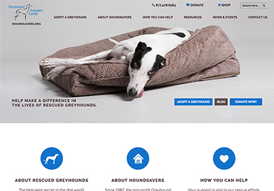 Greyhound Adoption Website