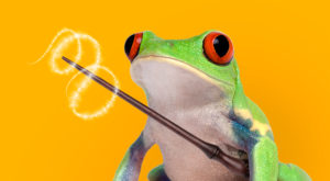 Red Eyed Tree Frog with Magic Wand