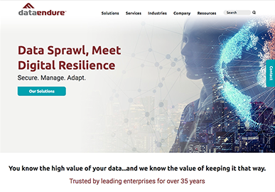 Data Endure Website