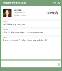 TinyFrog Live Chat Window Example