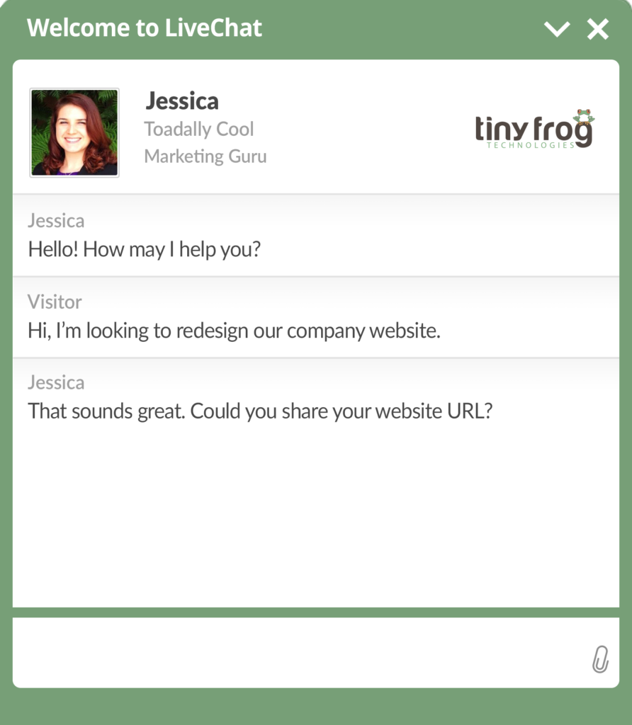 TinyFrog Live Chat Window Example