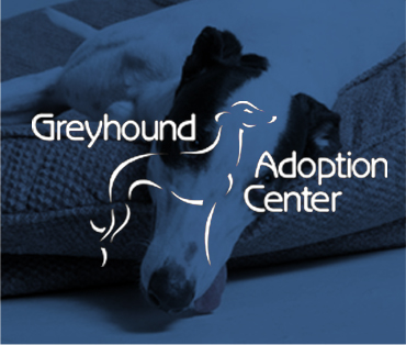 Greyhound Adoption Center Case Study thumbnail