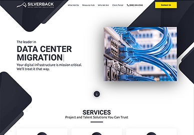 Silverback Data Solutions Website
