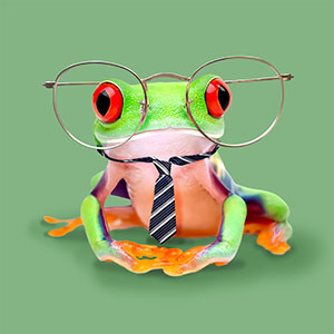 TinyFrog-CEA (Chief Executive Amphibian)