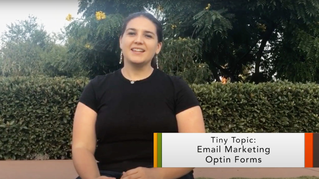 Creating Email Marketing Opt-in Forms