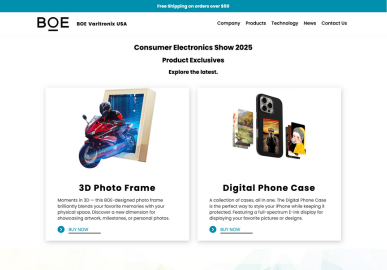 Screenshot of BOE Varitronix home page