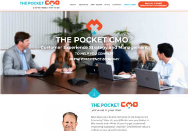 Home page of The Pocket CMO website