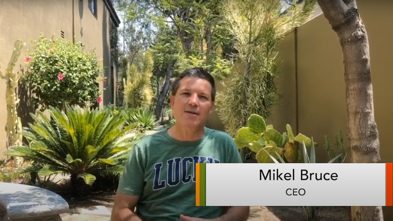 Non-Profit Website Design Tips