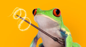 Red Eyed Tree Frog with Magic Wand