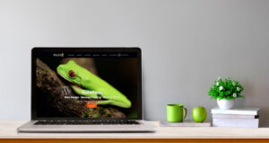 Desk with Laptop Showing TinyFrog Website Homepage