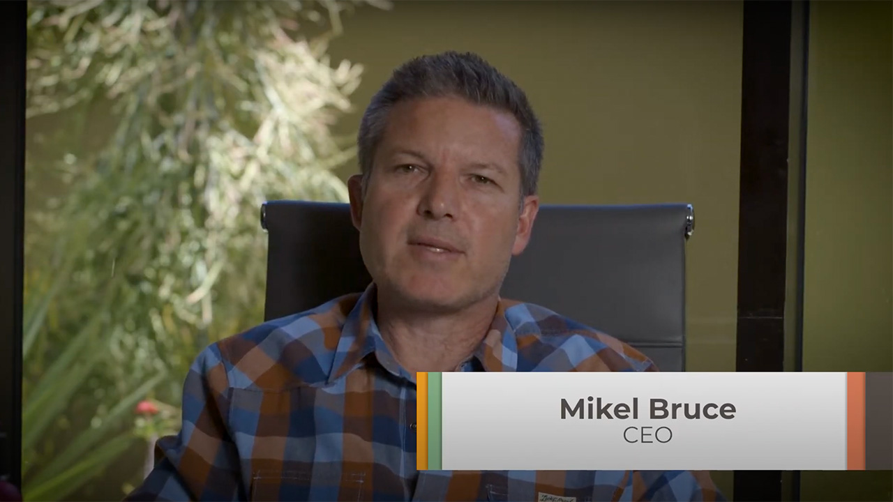 Tips for Working with a Content Writer