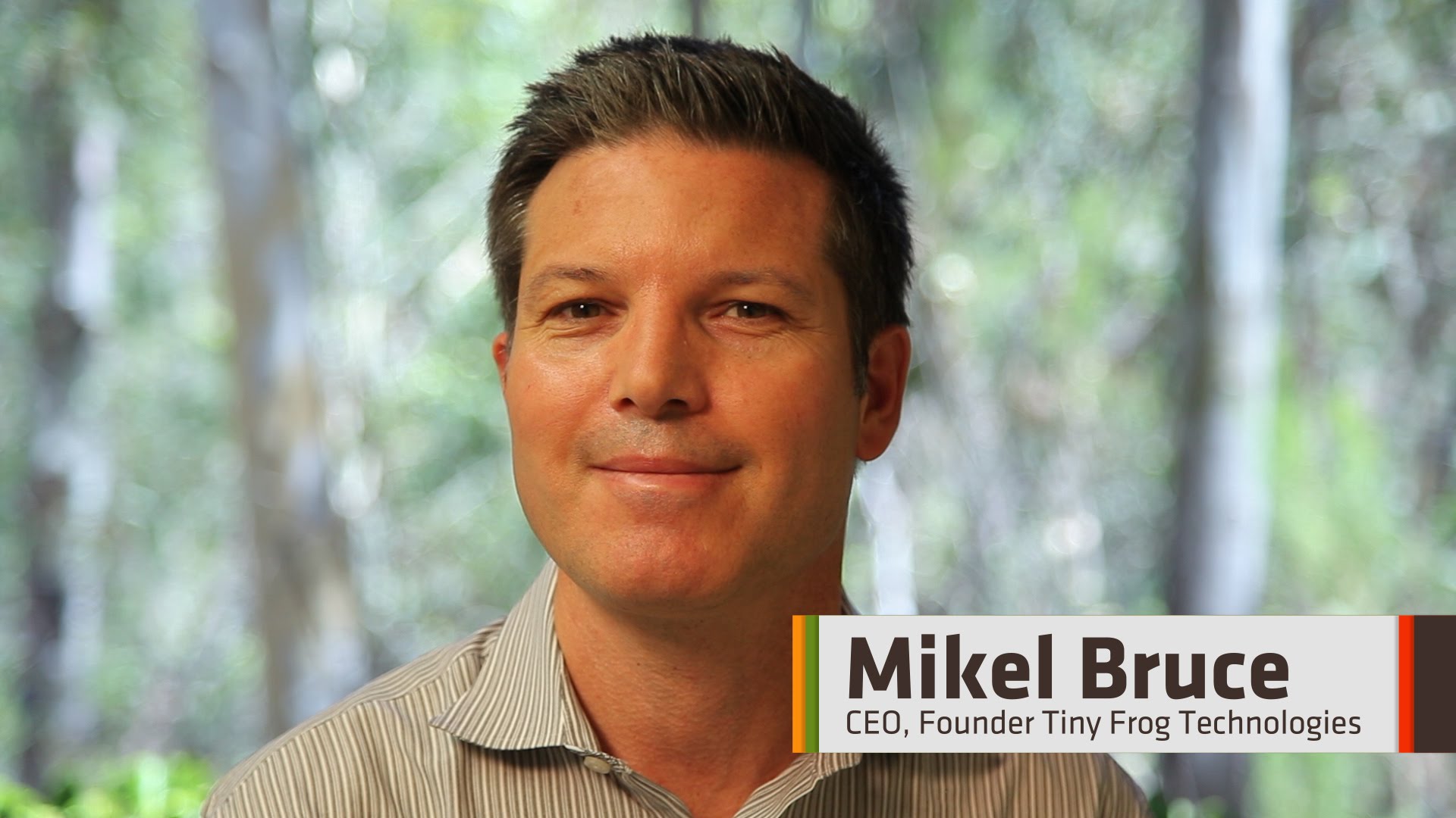 Developing Your Web Strategy with Tiny Frog