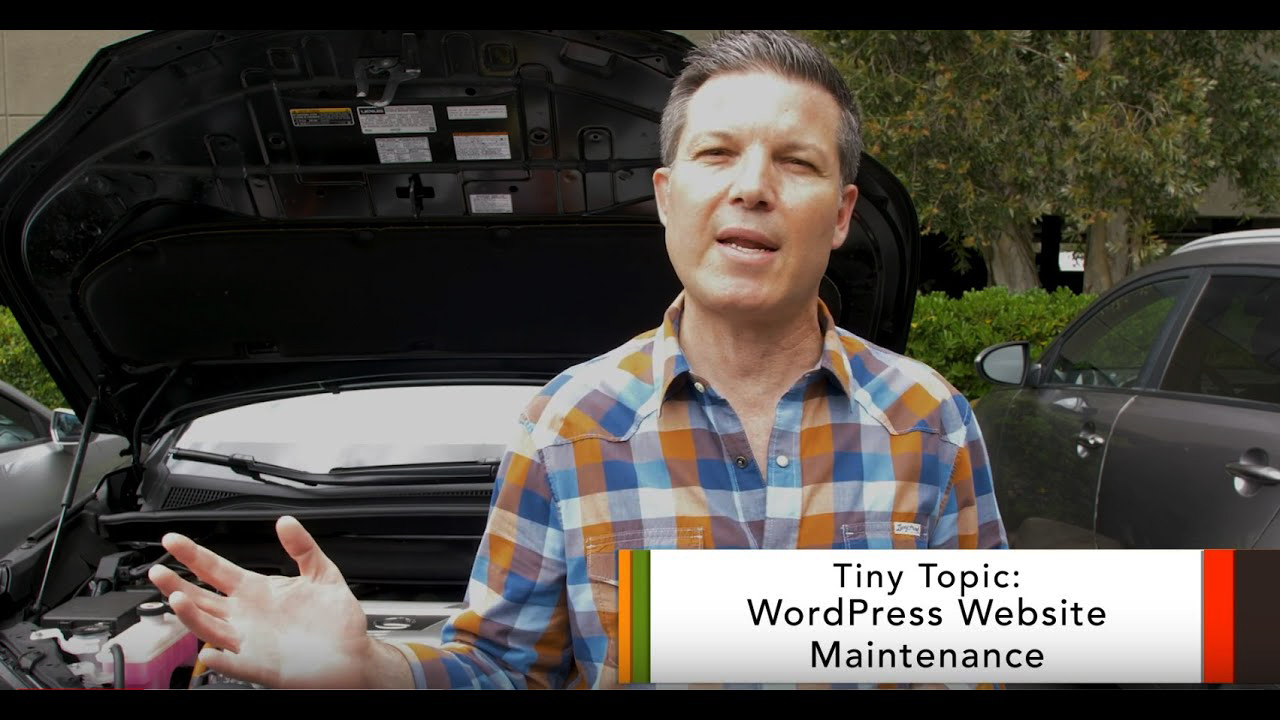 How to Maintain a WordPress Website