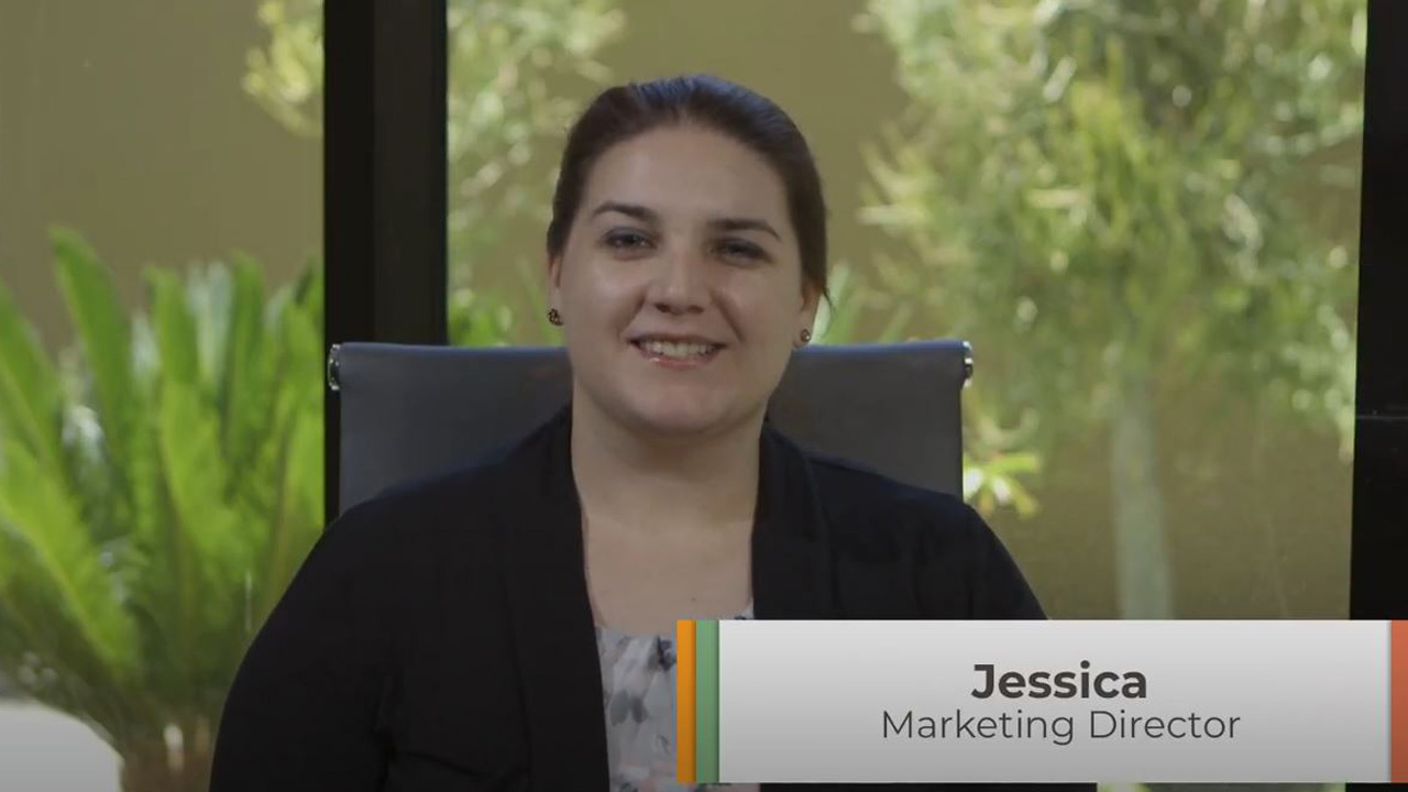 WordPress Blog Design Options