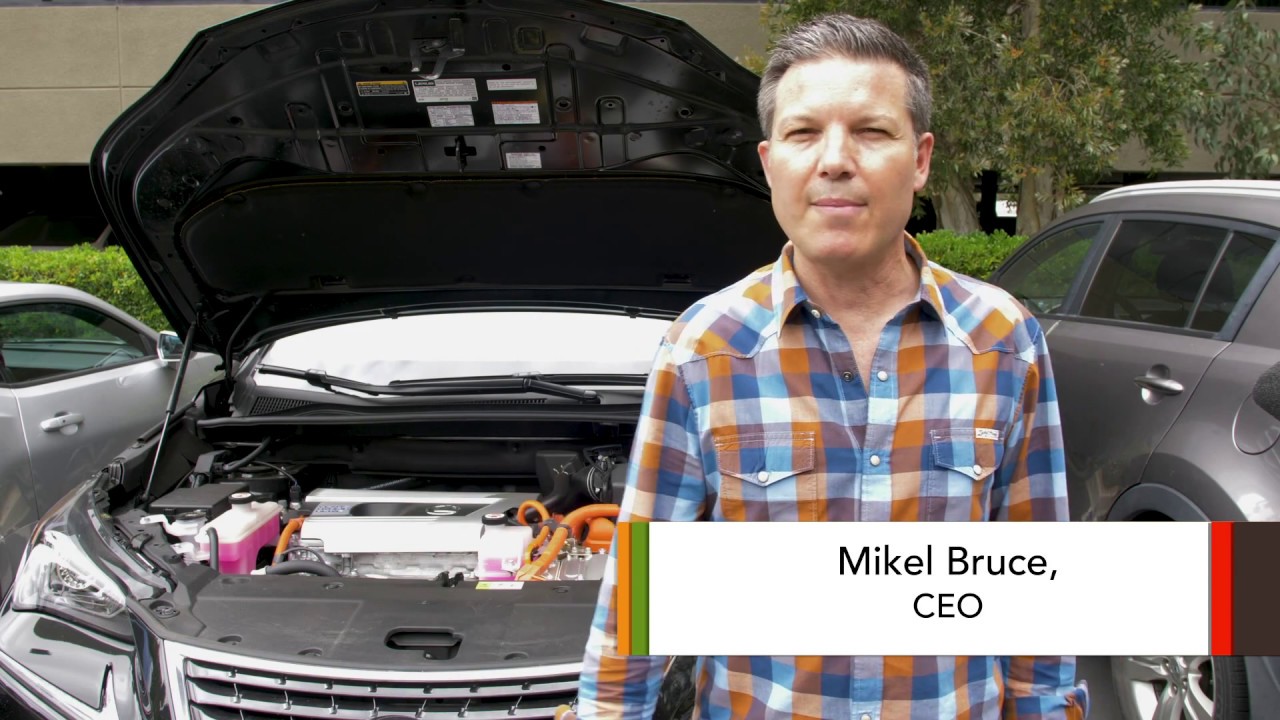 Optimize Your WordPress Database