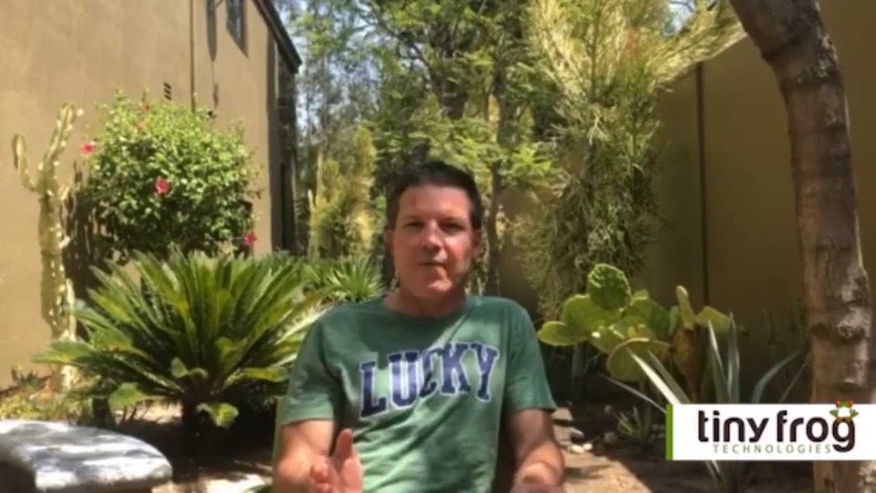 Selecting a WordPress Development Team