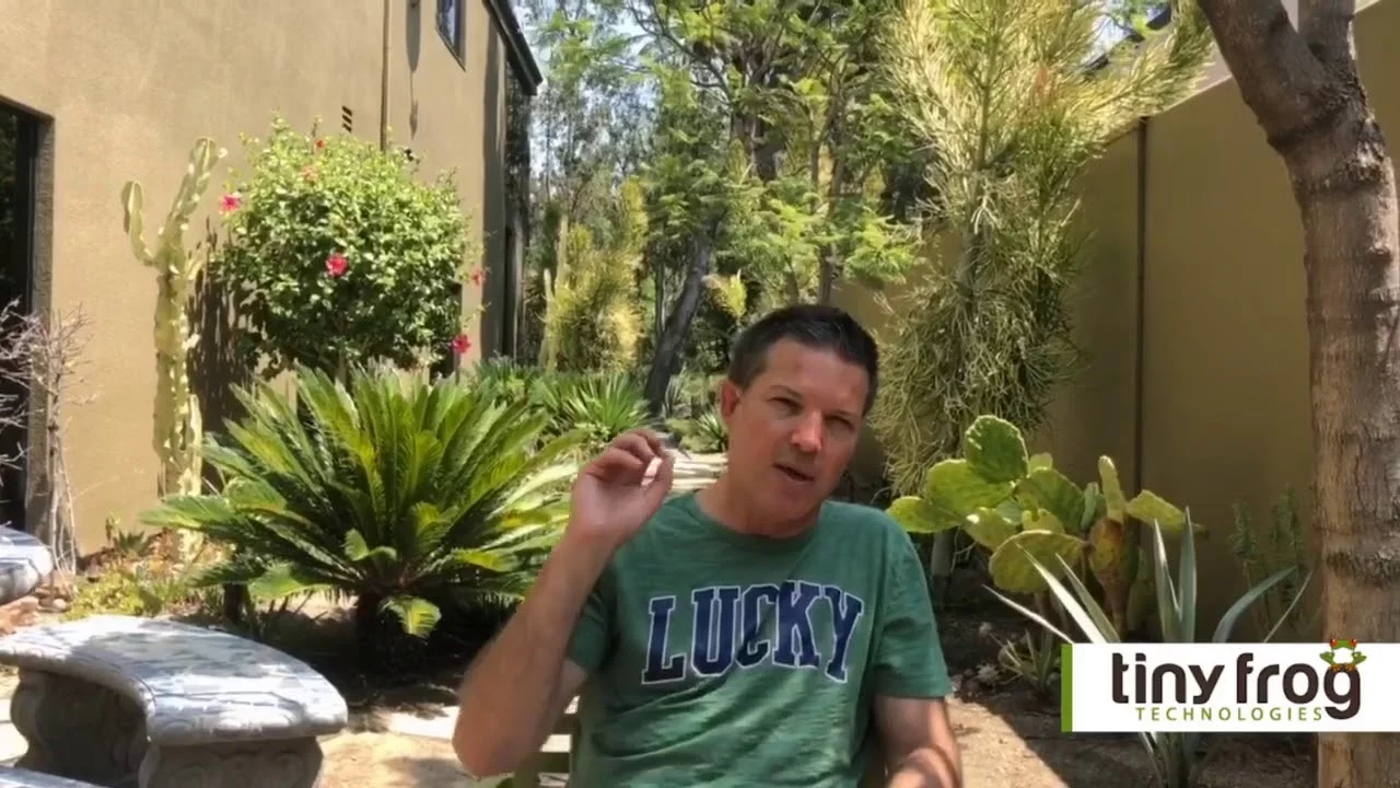 Using Dynamic Functionality on Your Site