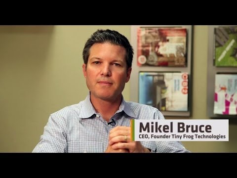 Web Design and Development